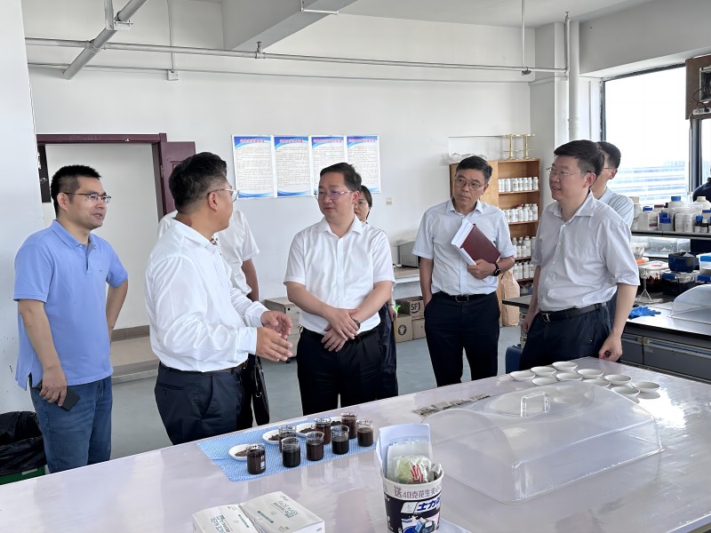 区长沈燕俊一行调研我司，关心科威特项目进展及企业未来发展